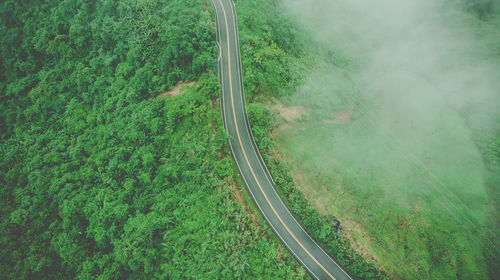 High angle view of road amidst trees