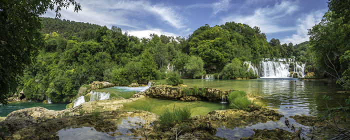 Scenic view of river amidst trees against sky