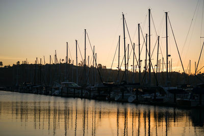 Sailboats in marina at sunset