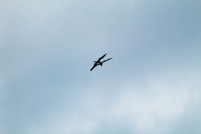 Low angle view of airplane flying in sky