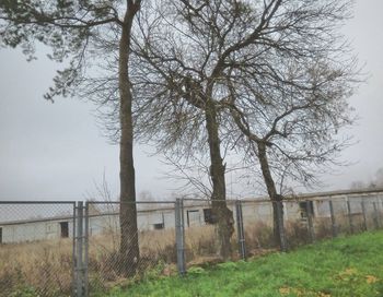 Bare trees on field against sky