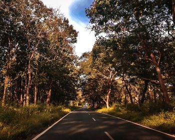 Road amidst trees against sky