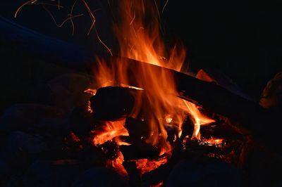 Close-up of fire at night