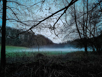 Bare trees by lake in forest against sky