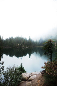 Scenic view of lake in forest against sky