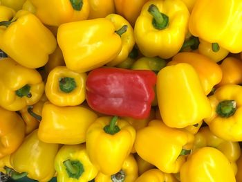 Red pepper on yellow papper.