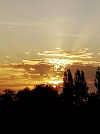 Silhouette trees against sky during sunset