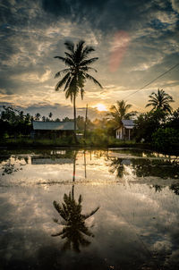 Silhouette palm trees against sky during sunset