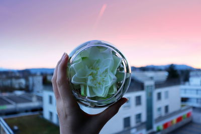 Close-up of hand holding glass of cityscape against sky