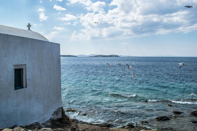 The rocky shore of mykonos, greece. seagulls next to a church with views of the mediterranean sea.