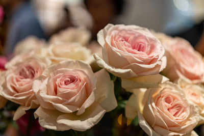 Close-up of rose bouquet