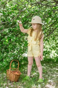 picnic basket