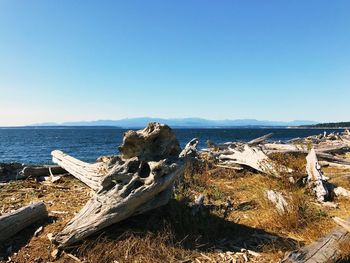 Panoramic view of sea against clear blue sky