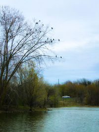 Scenic view of lake against sky