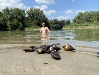 Portrait shirtless man in lake with turtle on shore against sky