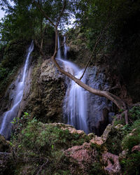 Scenic view of waterfall in forest