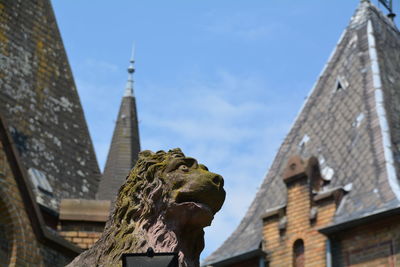 Low angle view of lion sculpture against house