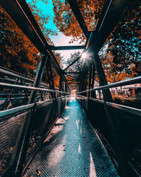 Footbridge over trees during autumn