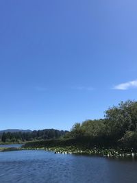 Scenic view of lake against blue sky