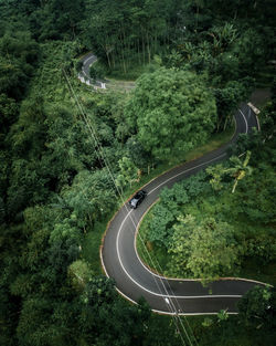 High angle view of road amidst trees in forest