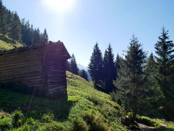 Trees on countryside landscape against clear sky