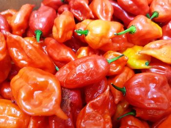 Full frame shot of red chili peppers