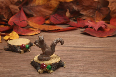 Close-up of autumn leaves on table