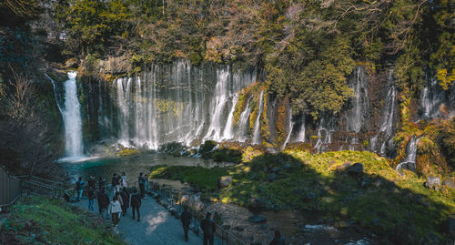 Group of people on rock against trees