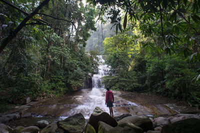 Man looking at waterfall in forest