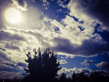 Low angle view of trees against cloudy sky