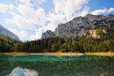 Scenic view of lake in forest against sky