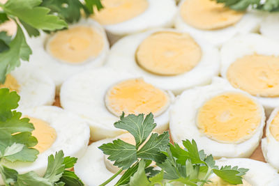 Close-up of food on table