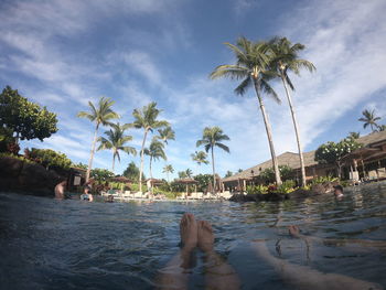 Palm trees by swimming pool against sky