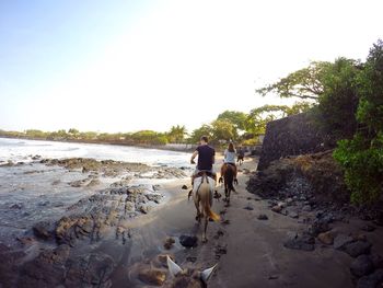Rear view of friends riding horses at beach