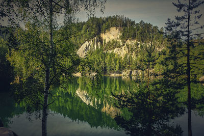 Trees by lake in forest against sky