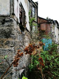 Full frame shot of wet window