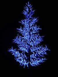 Close-up of illuminated christmas tree against black background