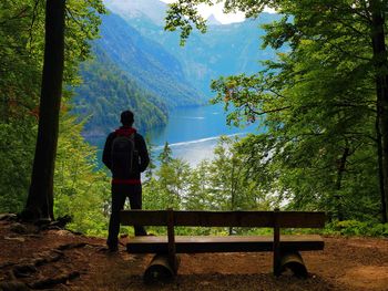 Rear view of man standing by trees