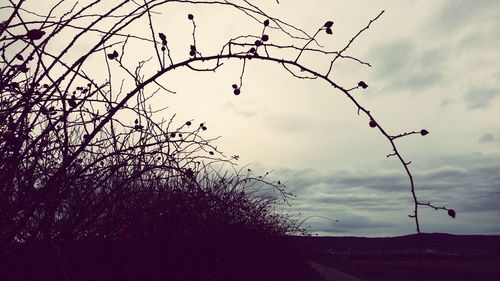 Low angle view of cloudy sky