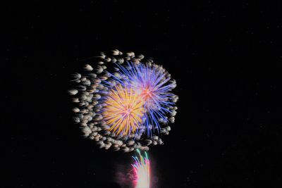 Low angle view of firework display over sea against sky