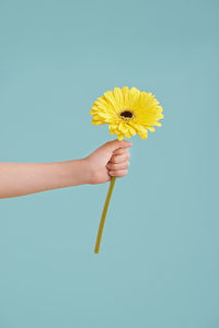 Cropped hand of woman holding yellow flower against clear sky