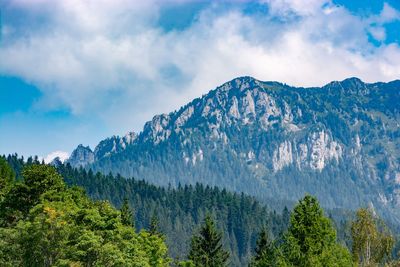 Panoramic view of trees and mountains against sky