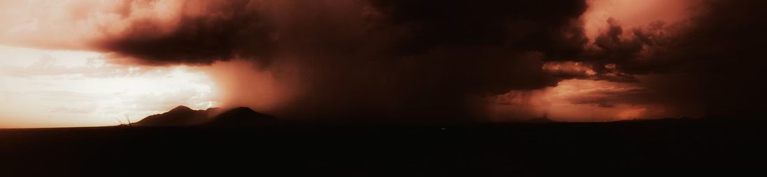Silhouette of trees against sky at night
