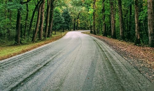 Empty road amidst trees in forest