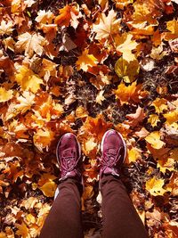 Low section of person standing on autumn leaves