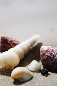 Close-up of pebbles on beach