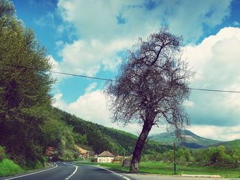 Empty road by trees against sky