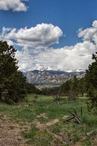 Scenic view of landscape against sky