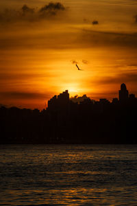 Silhouette birds flying over sea against orange sky