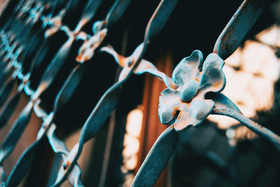 Close-up of metallic fence